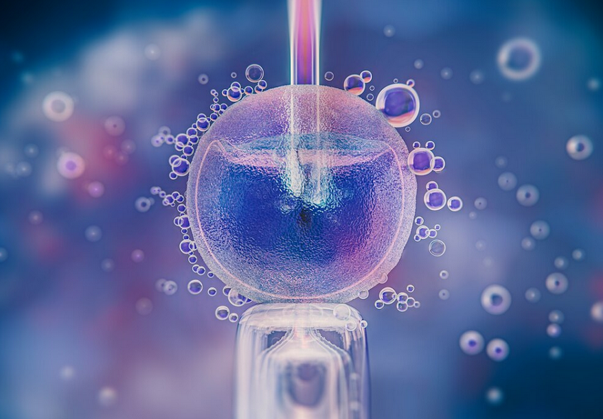 Facts on Oocyte Egg Freezing