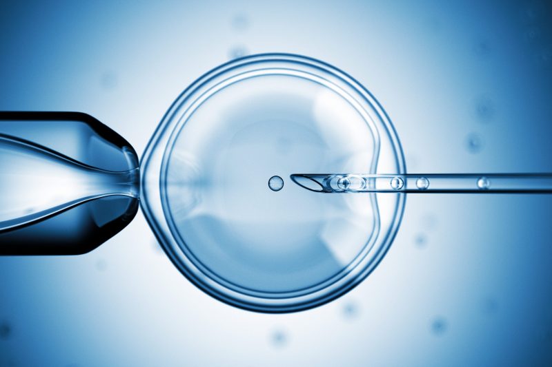 Reproductive Medicine: The Power of Blastocyst Culture