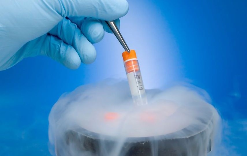 Cryopreservation: A New Dawn for Infertility Treatment