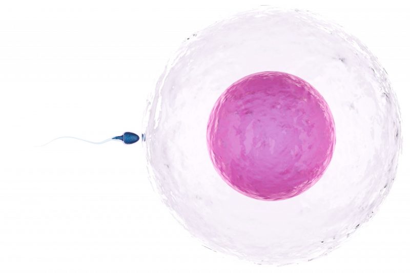 What are IVF Treatment Costs in Chennai?